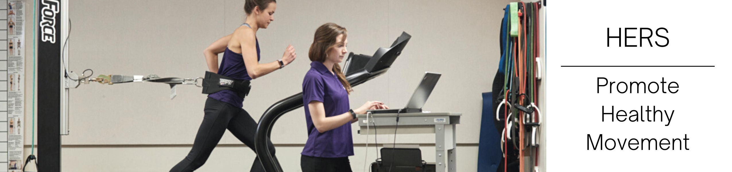 HERS - Movement Science (ERMS) Program Image